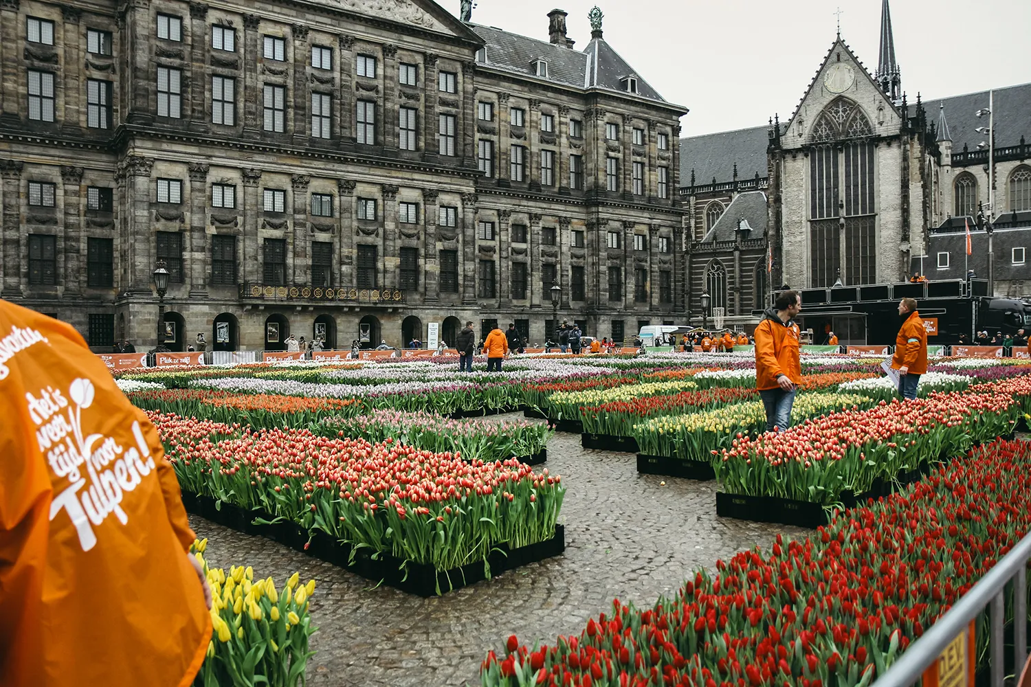 Fête de la tulipe Amsterdam