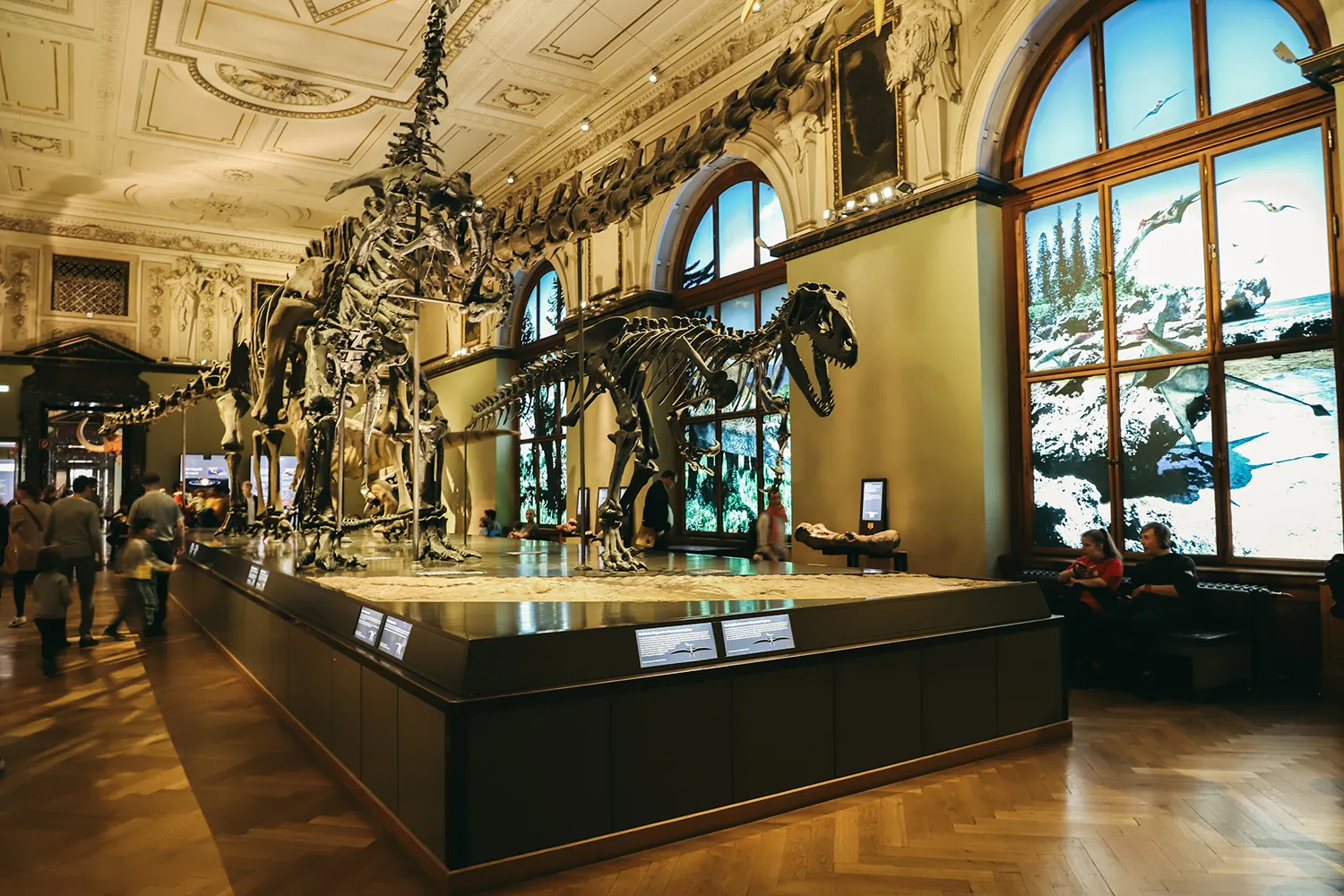 Musée d’Histoire Naturelle à Vienne