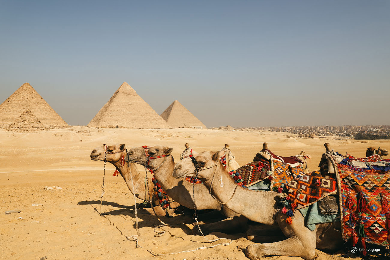 Visiter l'Egypte