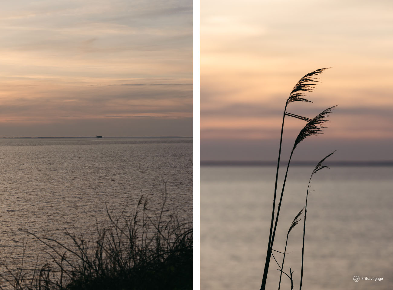 vue sur fort boyard depuis fouras