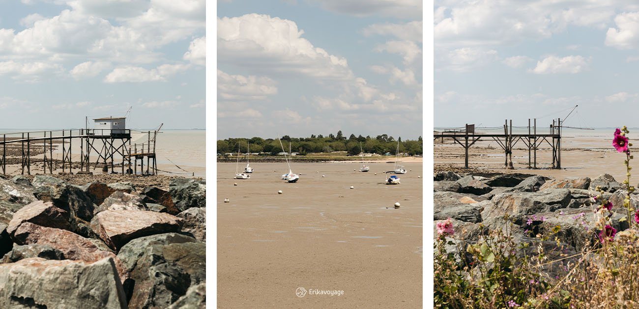 Balade plage Nord Fouras