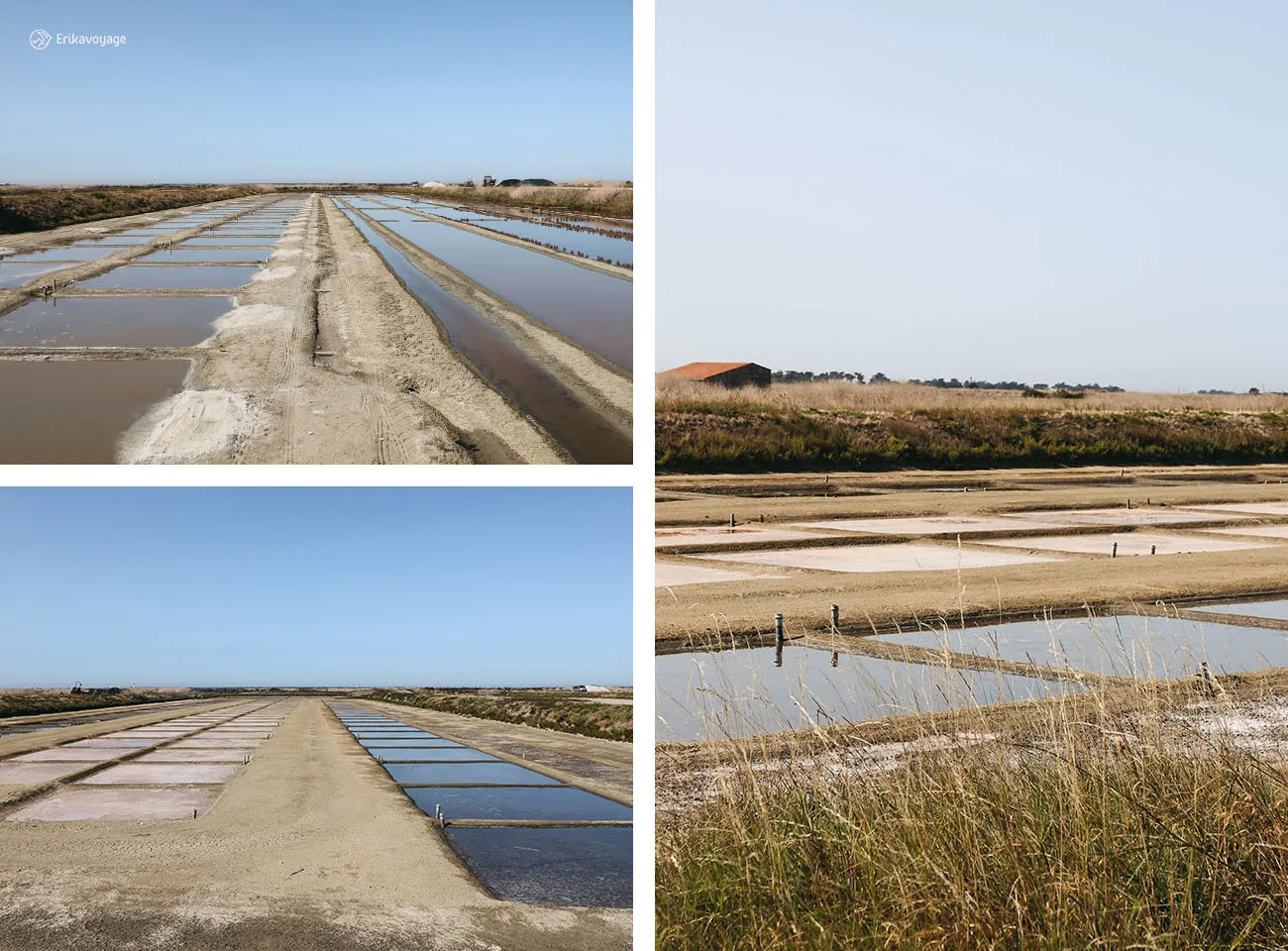 Marais salants île de Ré