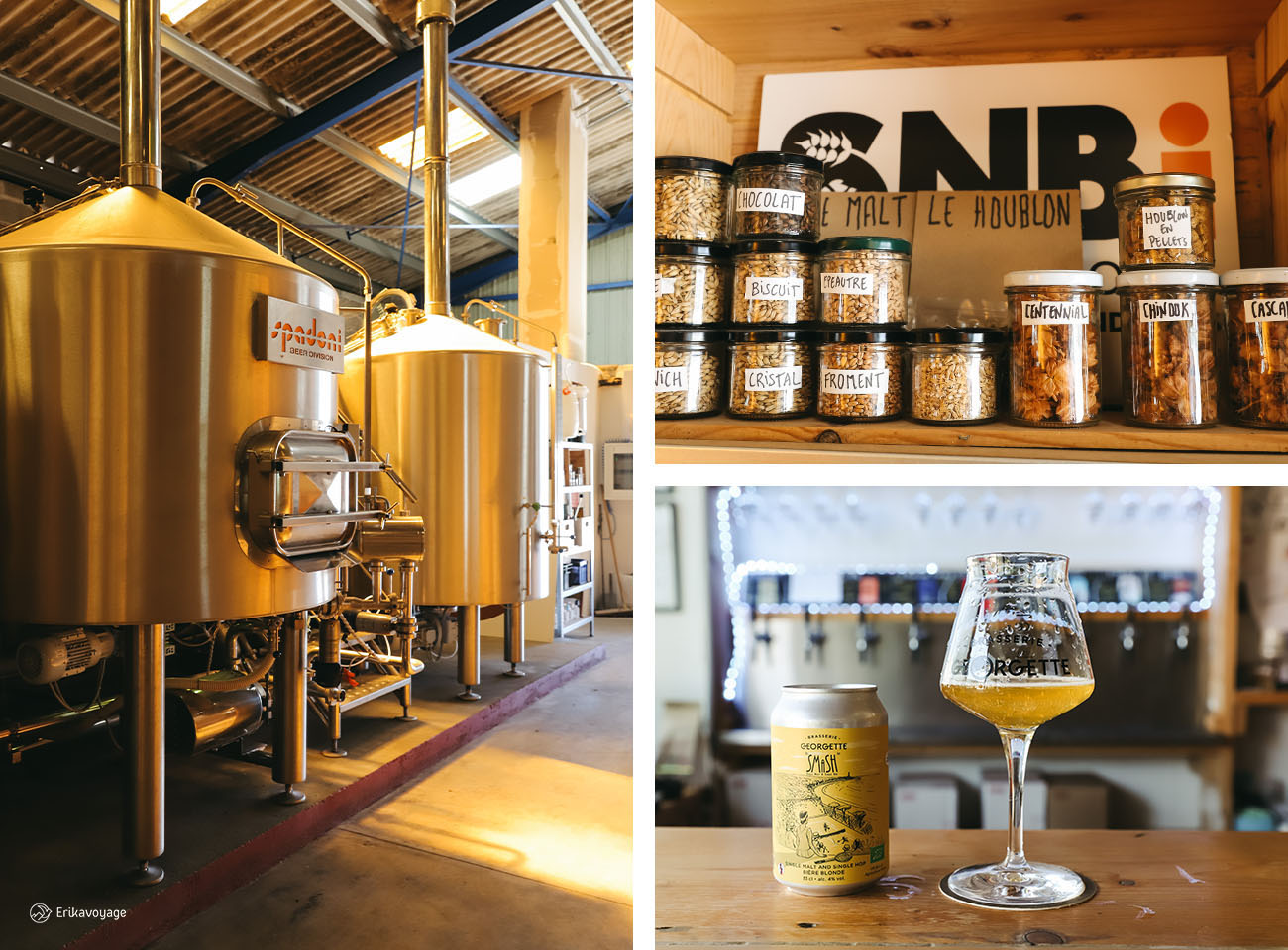 Visite Brasserie Georgette Saint-Georges de Didone