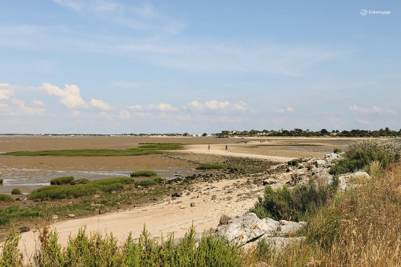 passe aux bœufs ile madame Charente-Maritime