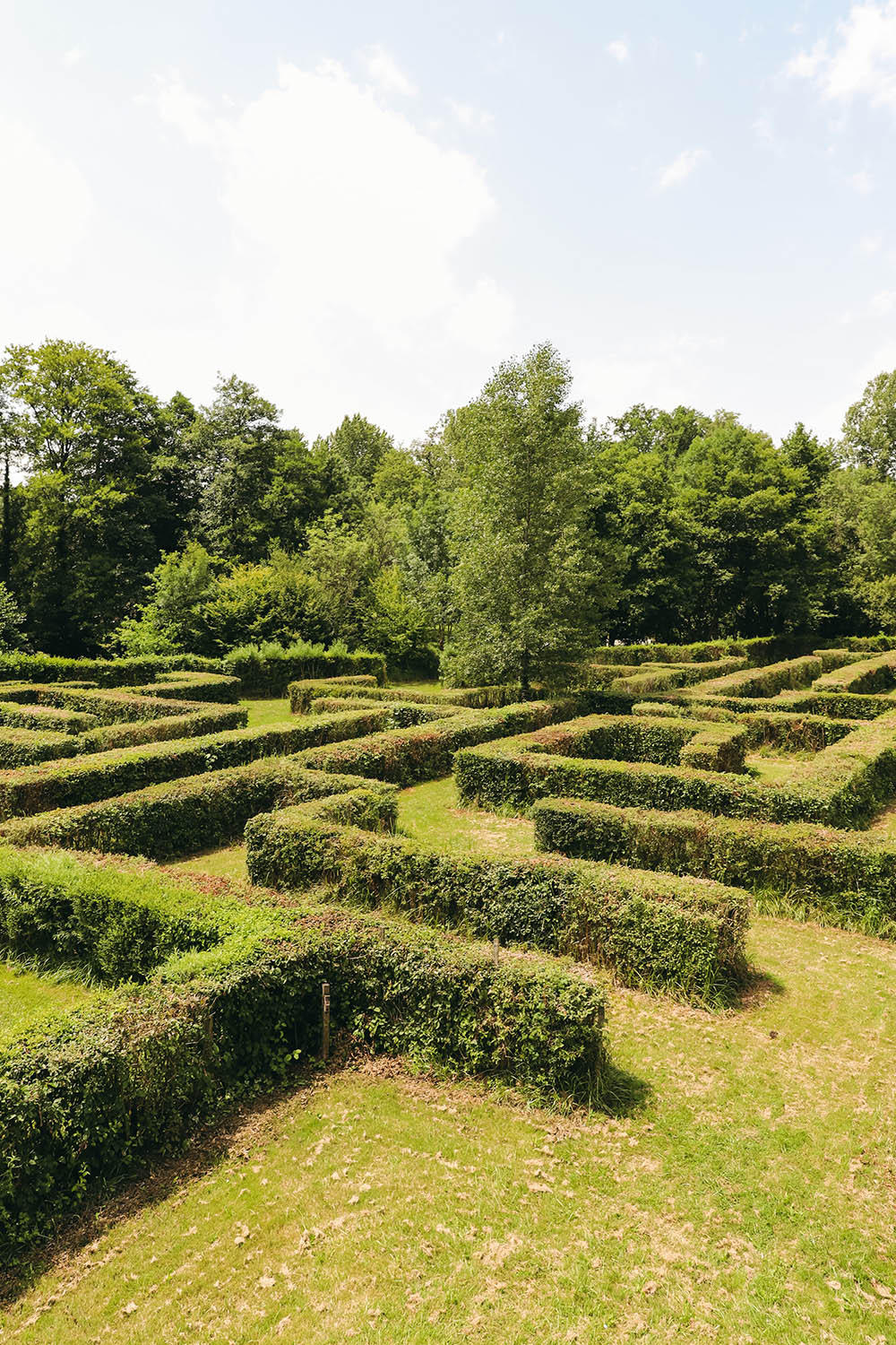 Labyrinthe végétal Poltrot