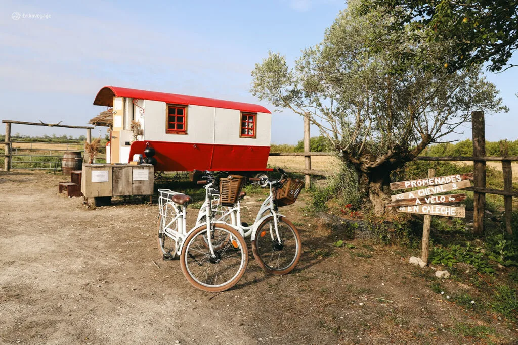 visiter le marais de Brouage à vélo