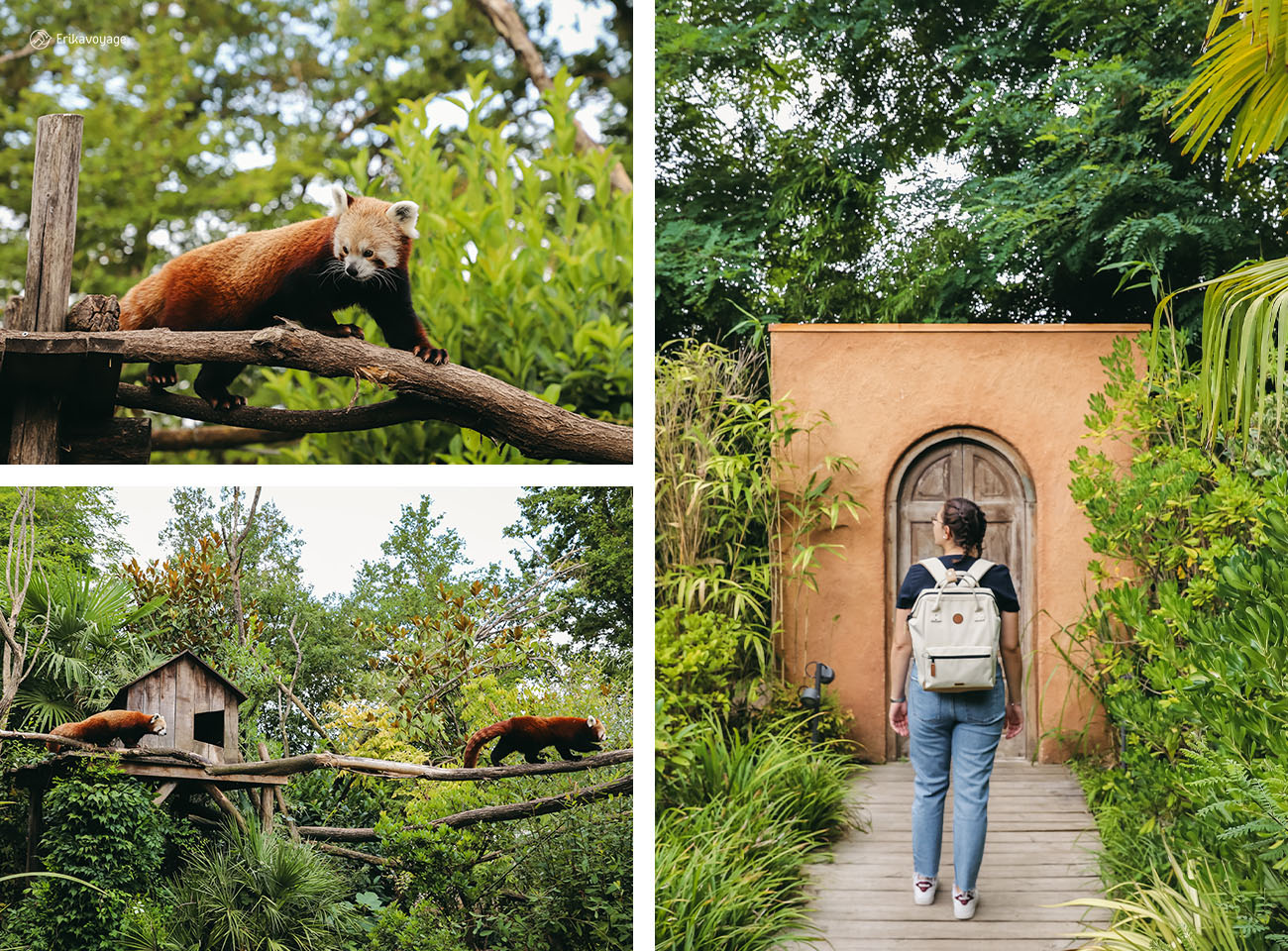 Visiter le zoo de la flèche