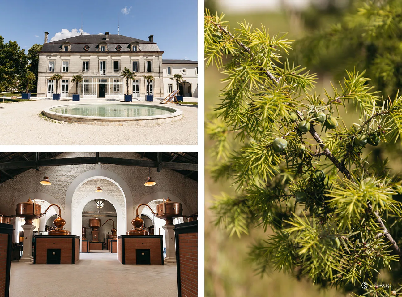 Visite distillerie Citadelle