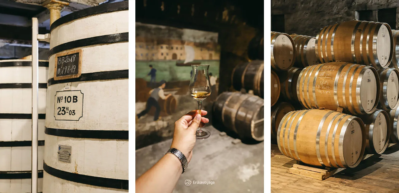 Visite château royal de Cognac maison Baron Otard