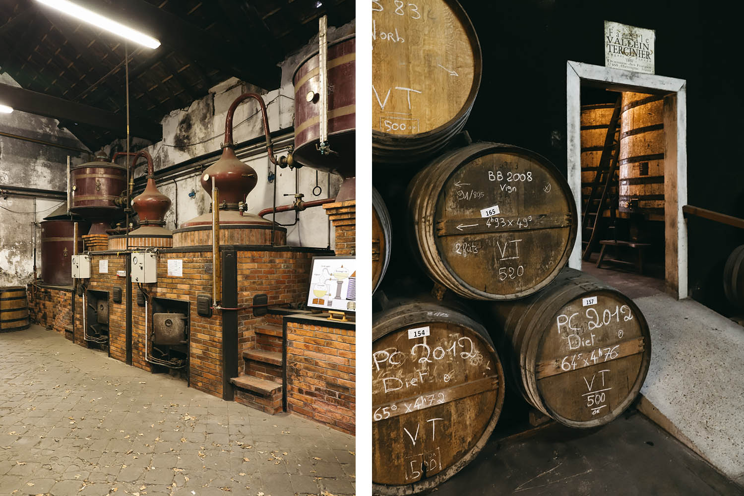 Visite distillerie Cognac Vallin Tercinier