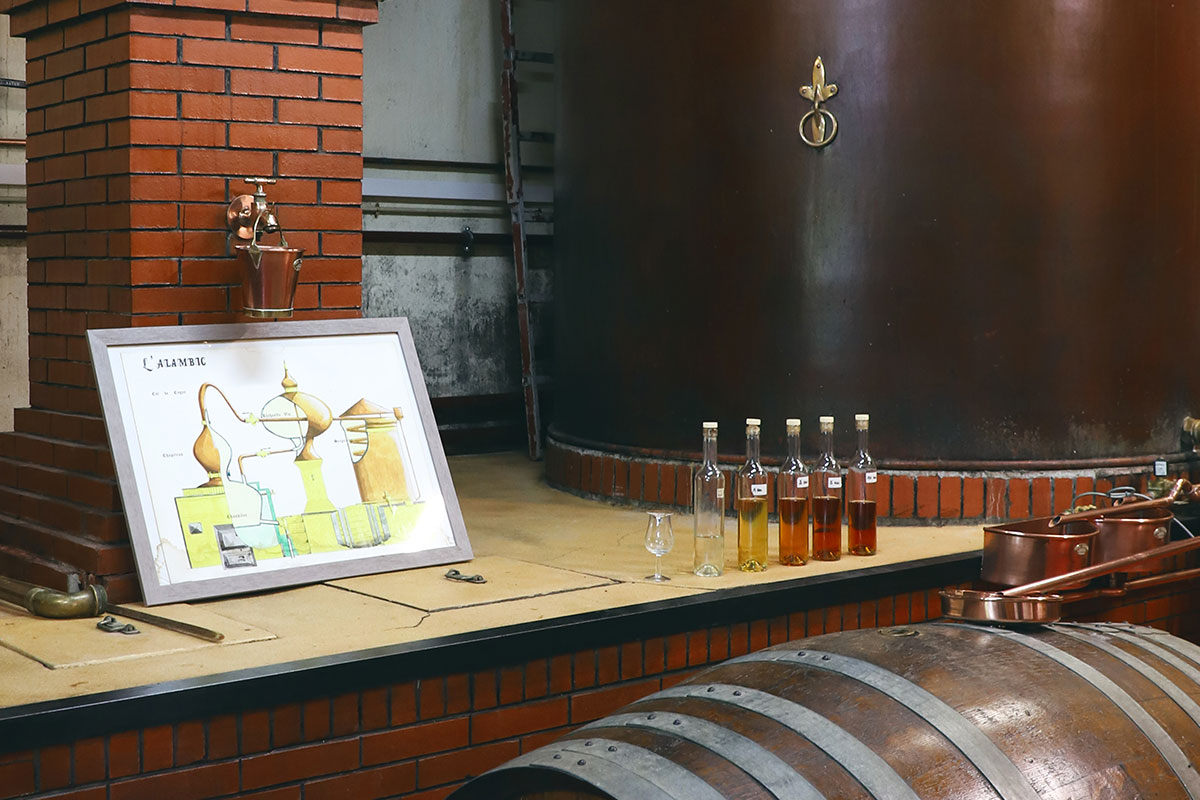 Distillation Cognac