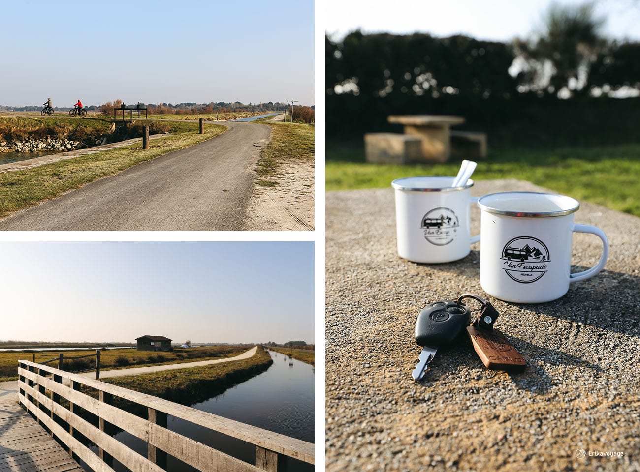 Marais de Douet île d'Oléron