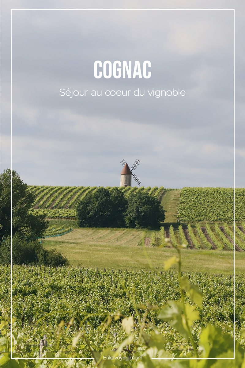 Article de blog Cognac