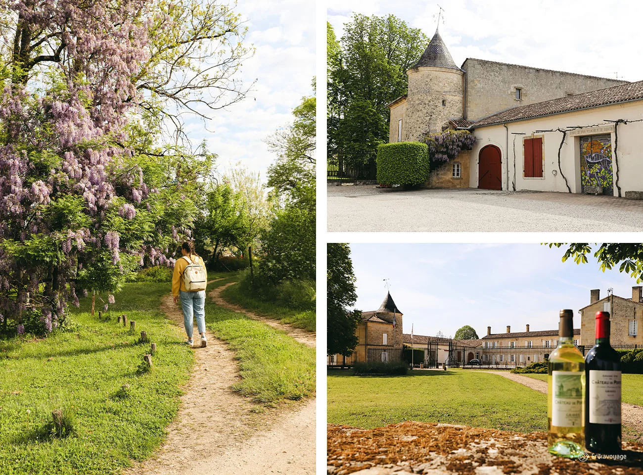 Visite vignoble château de Portets