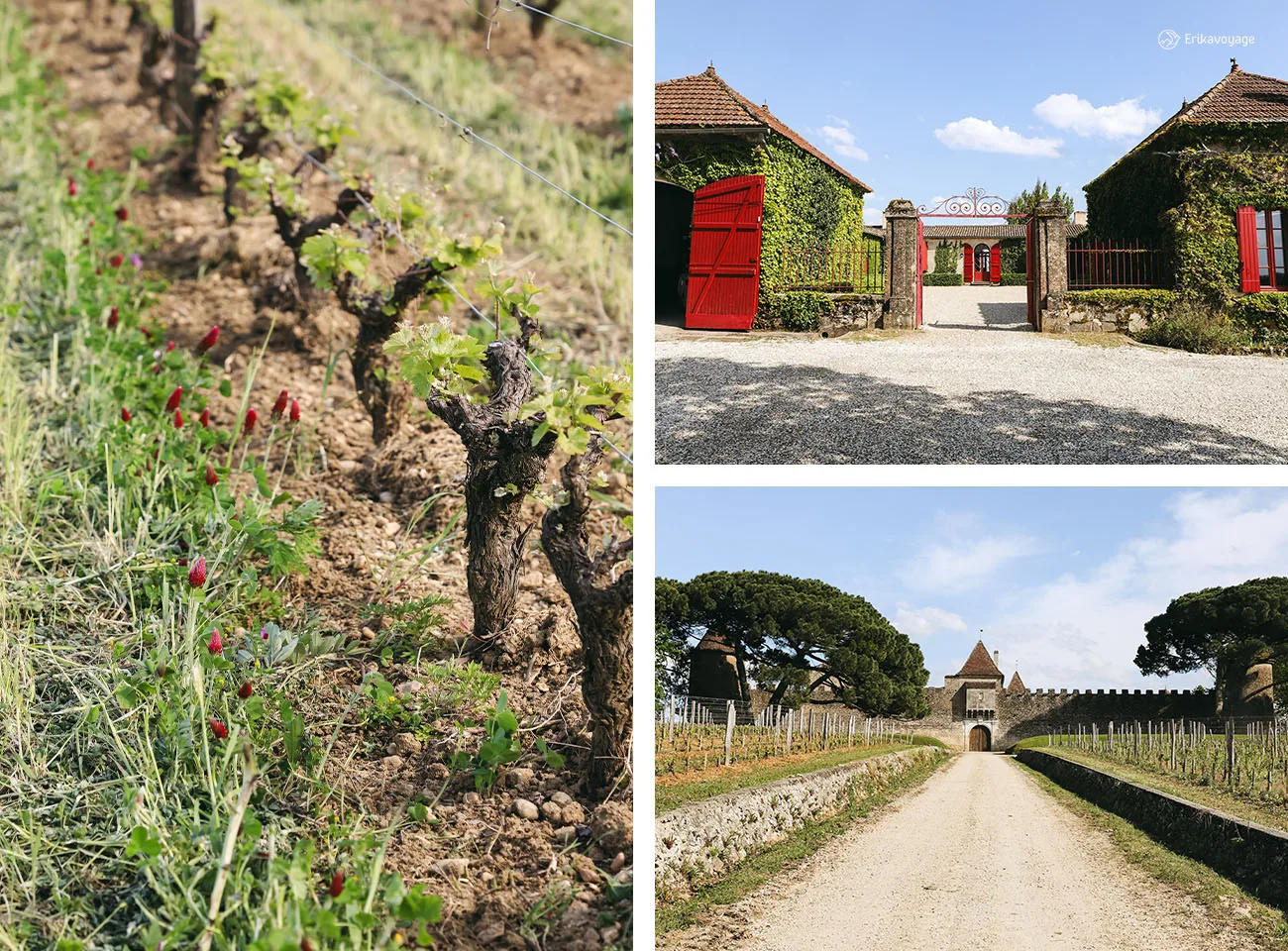 Visite château Sigalas Rabaud Bulle Verte