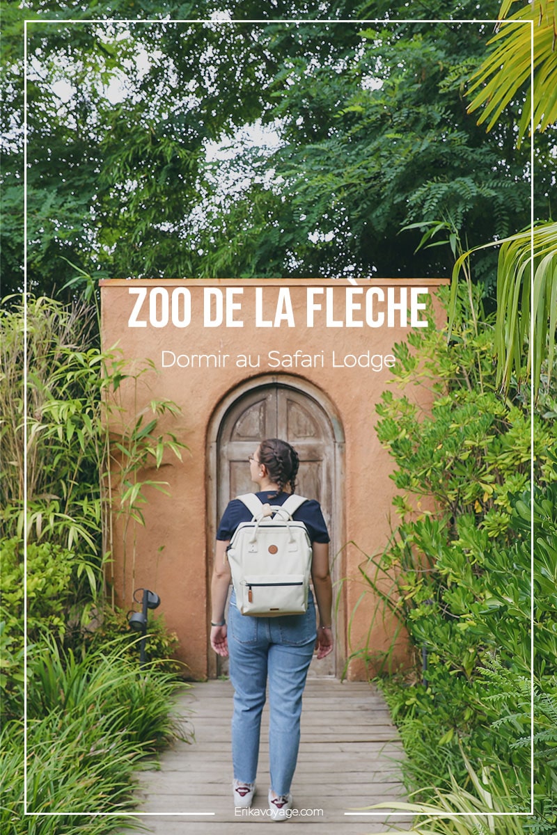 Article de blog Zoo de la Flèche