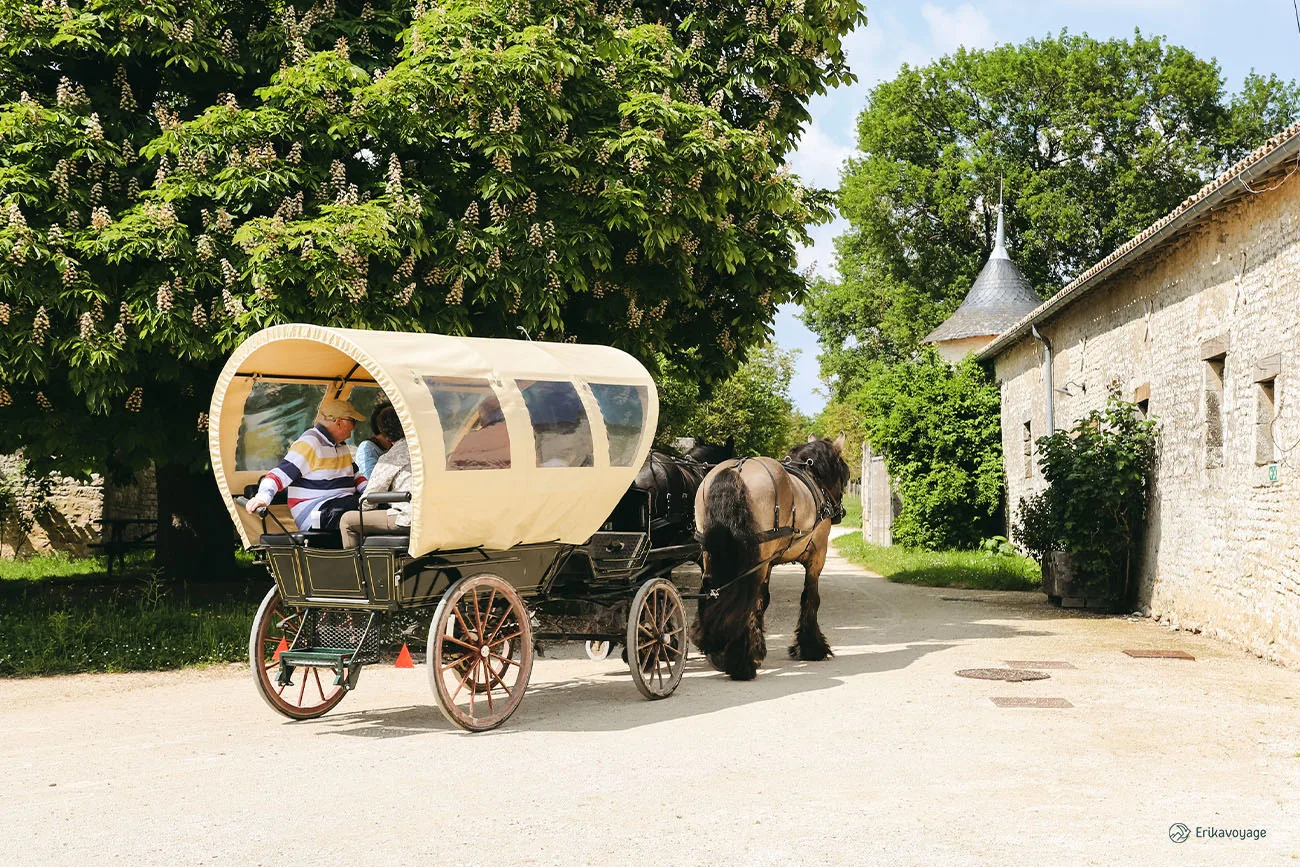 Promenade en attelage asinerie du Baudet du Poitou