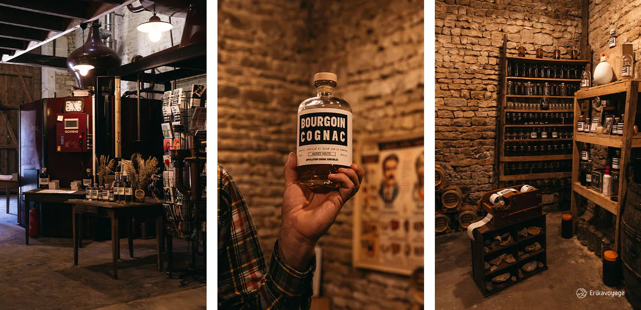 Visite Safari Bourgoin Cognac