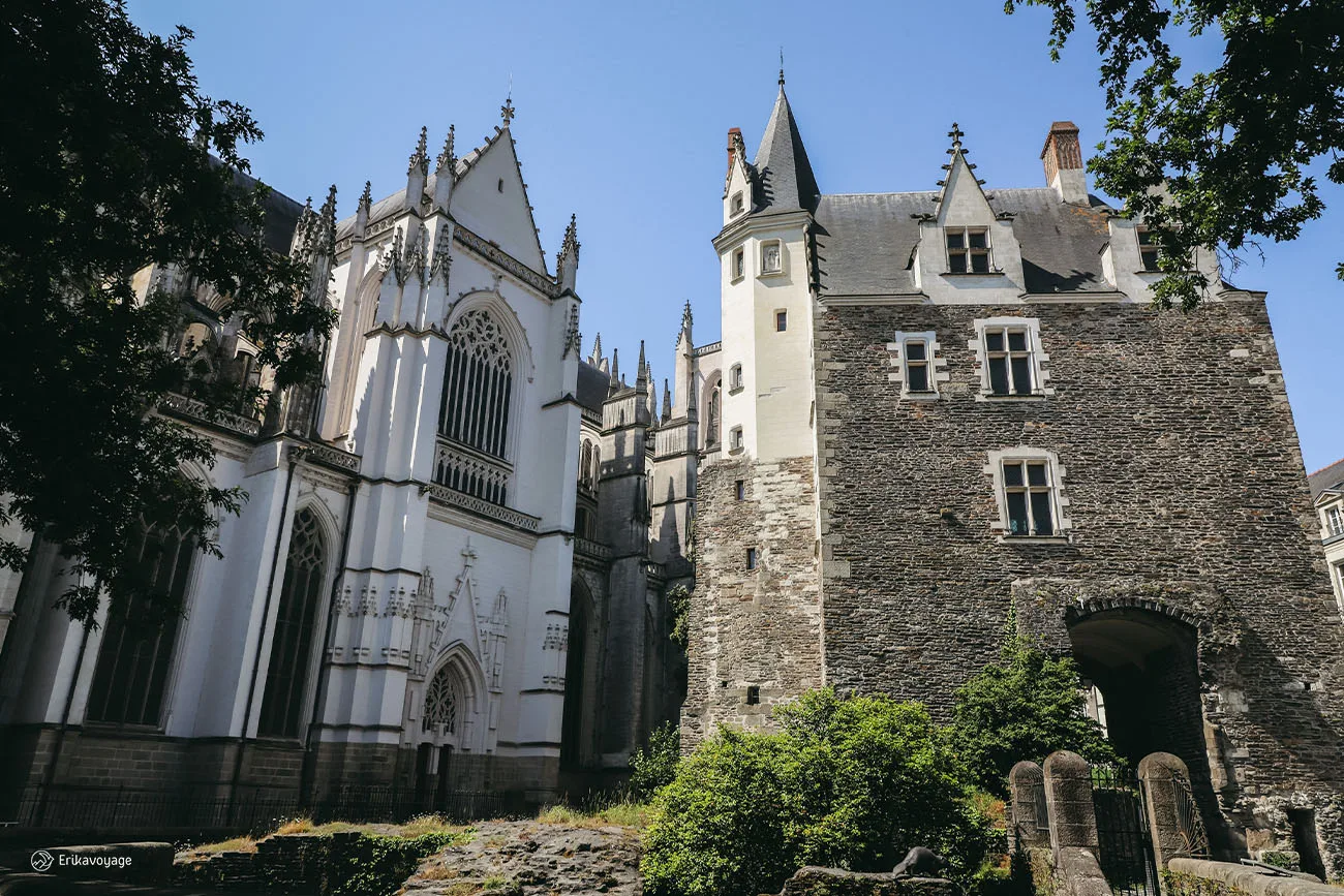 Cathédrale Nantes