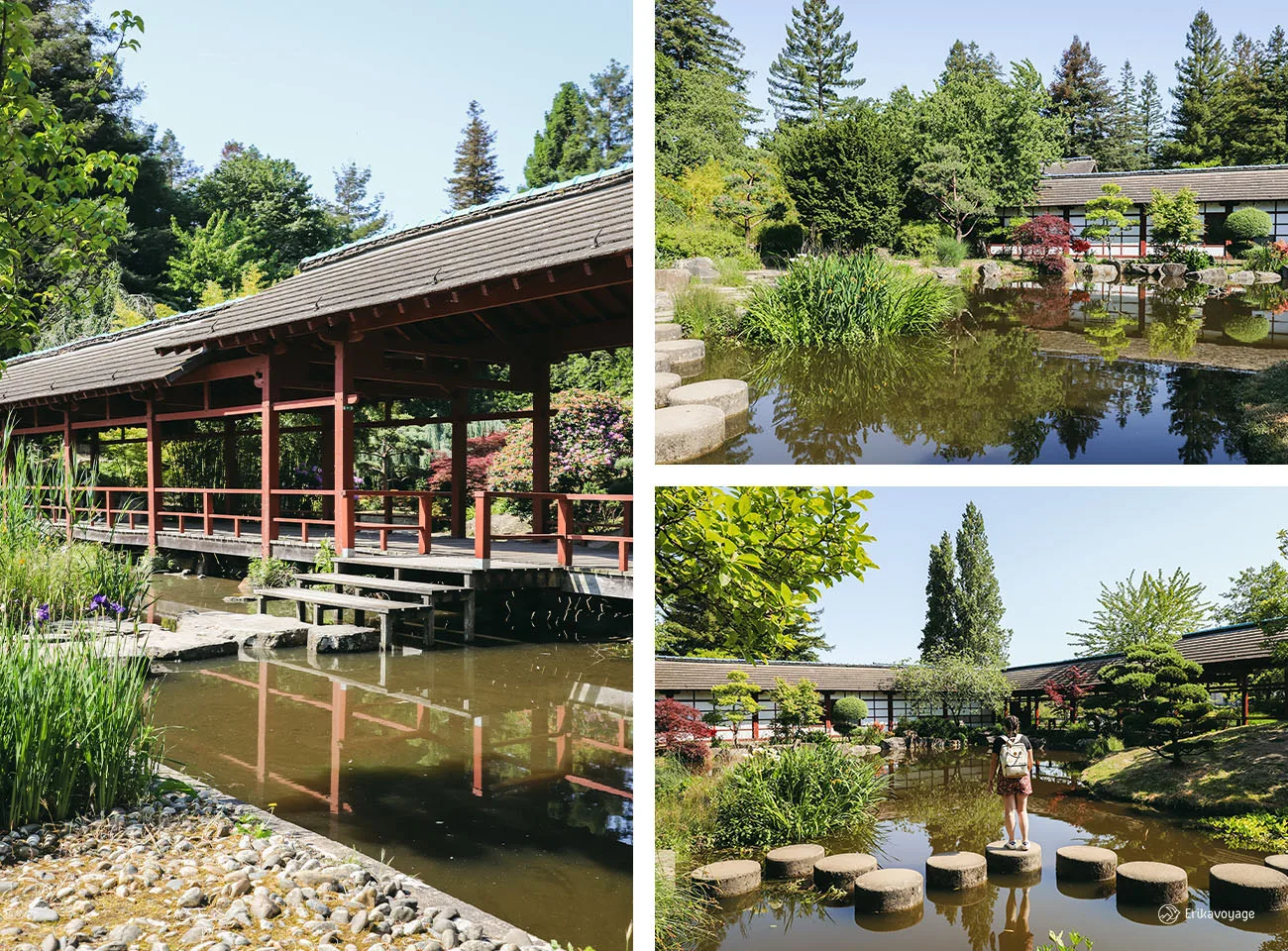 Jardin japonais île de Versailles Nantes