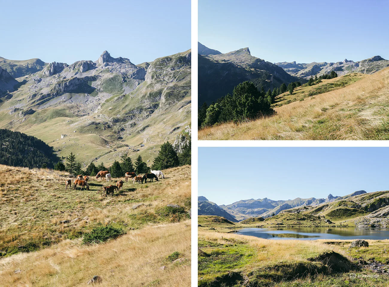 Randonnée des lacs d'Ayous vallée d'Ossau
