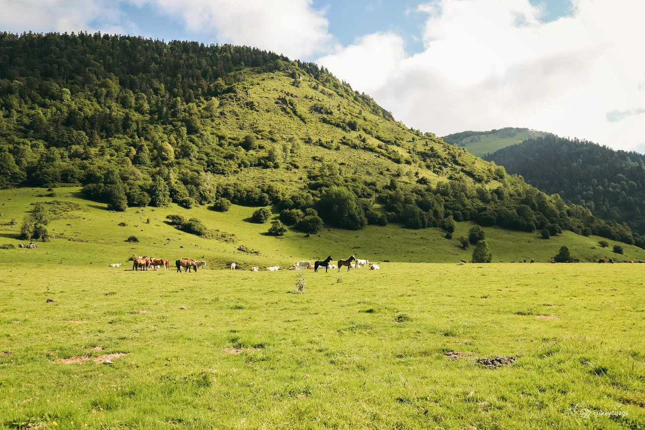Randonnée plateau du Bénou vallée d'Ossau
