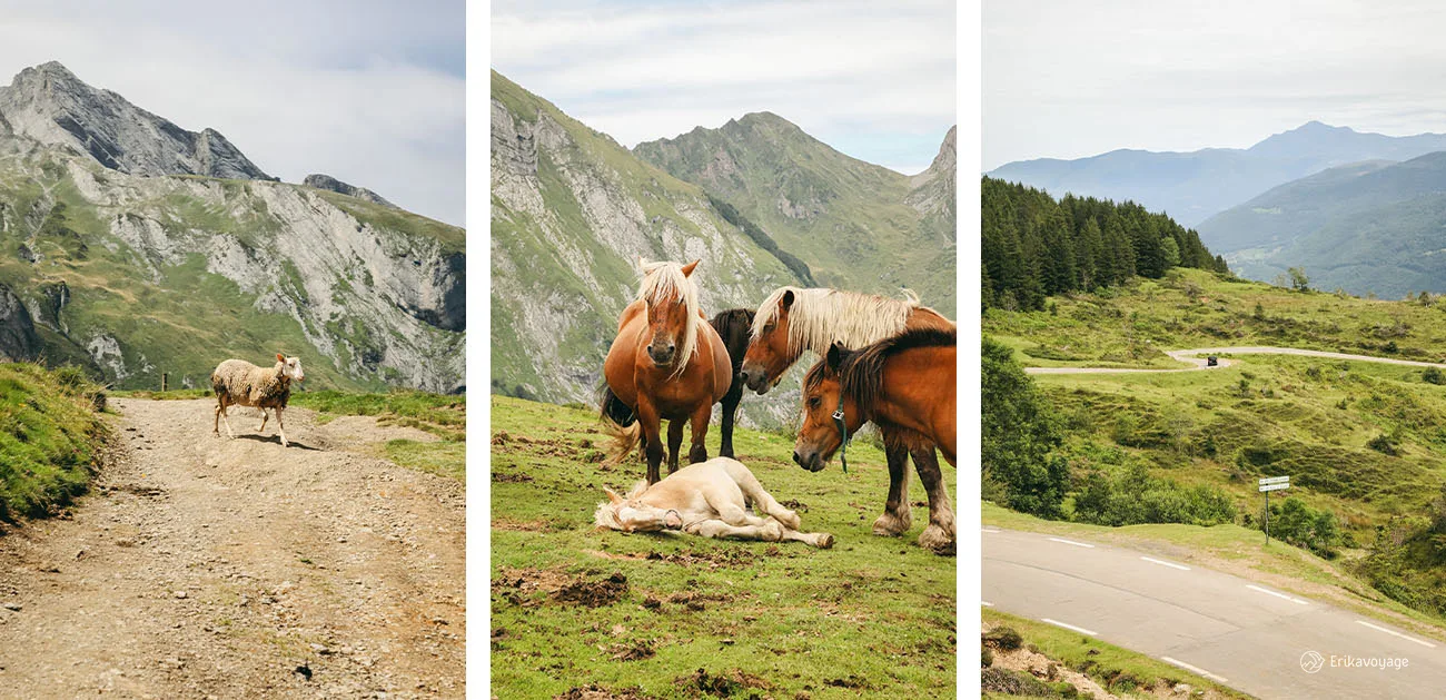 Col de Soulor Hautes-Pyrénées