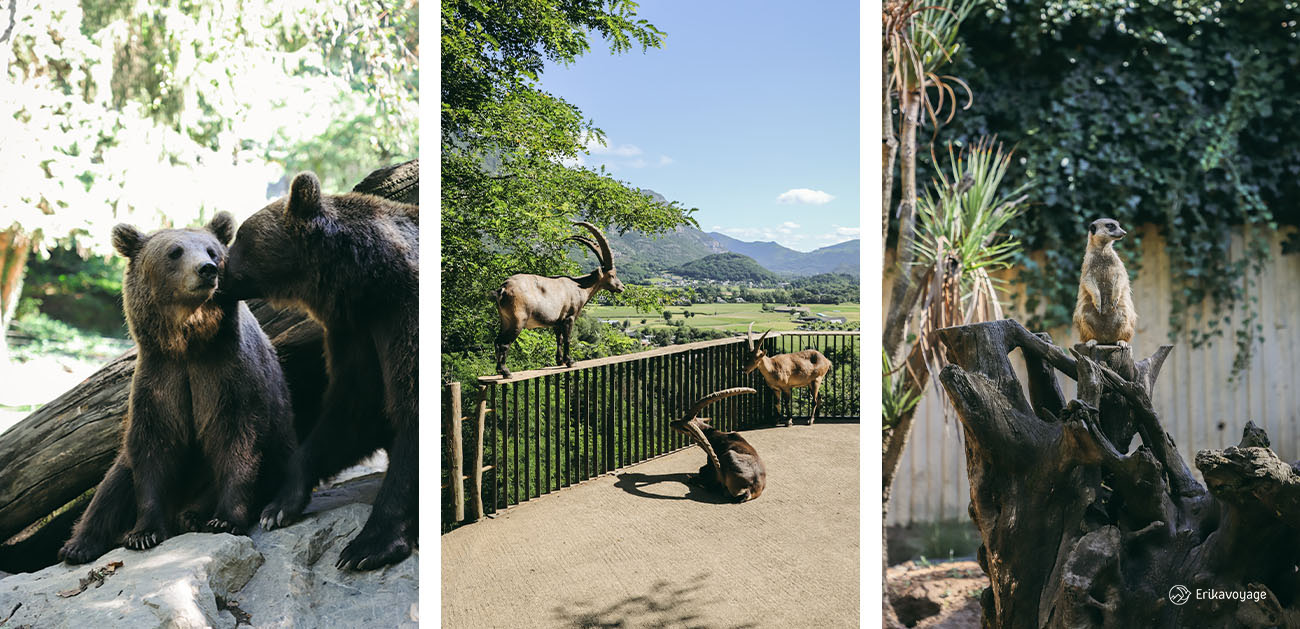 Parc animalier des Pyrénées Hautes-Pyrénées