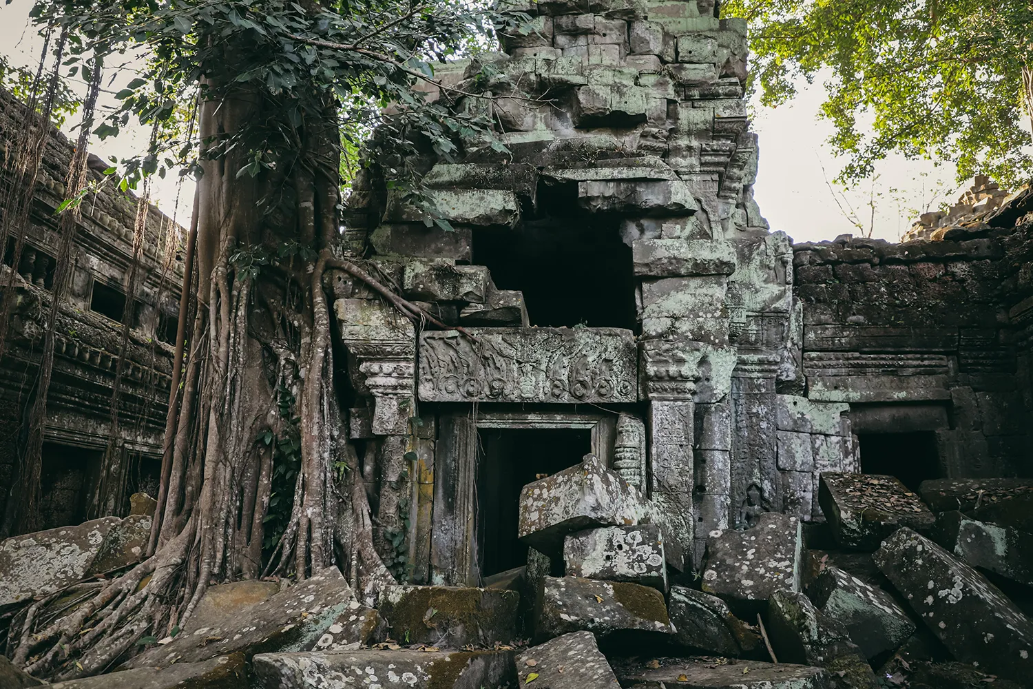 Temple Ta Prohm Cambodge