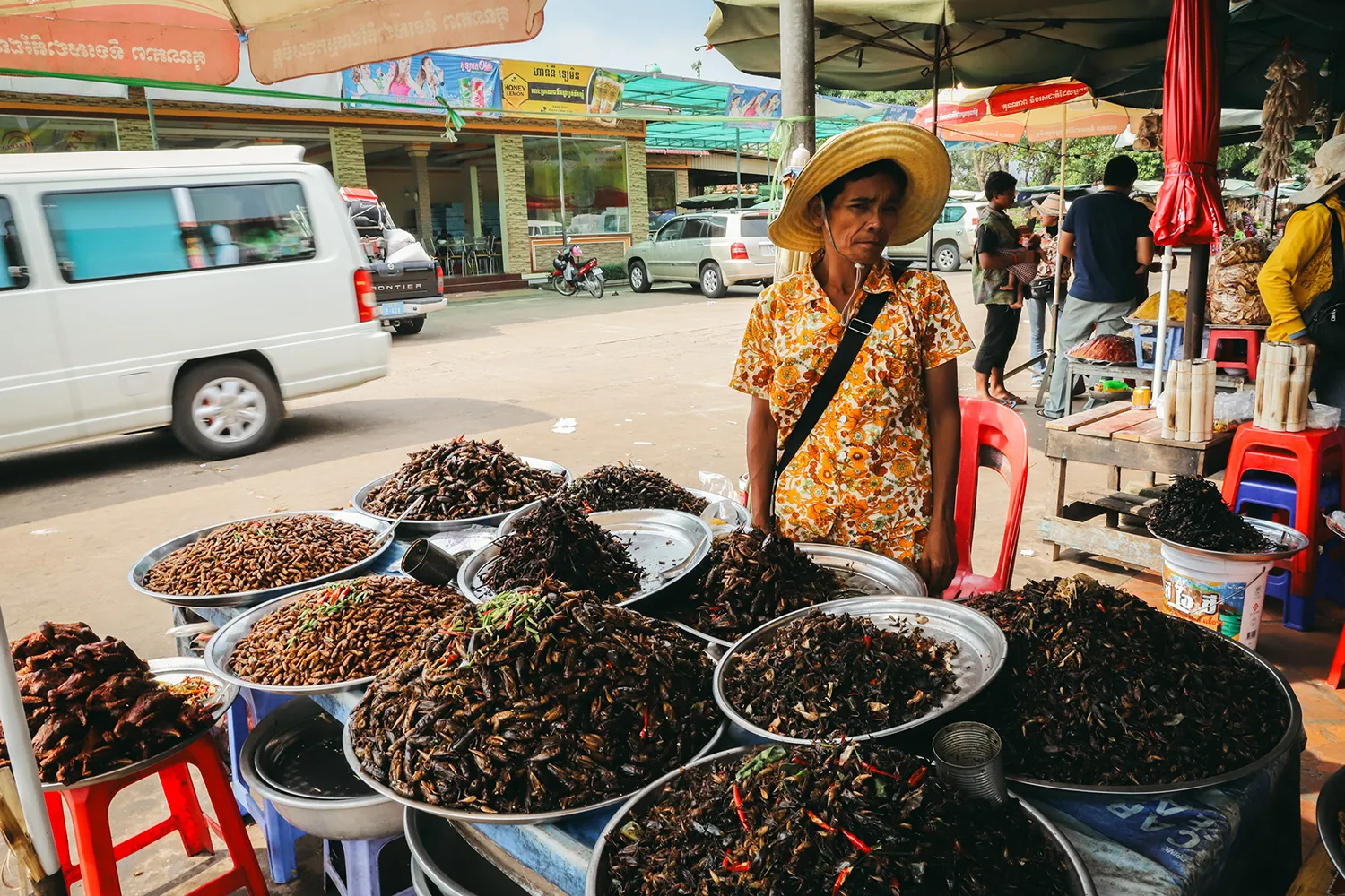 Marché insectes grillés Cambodge