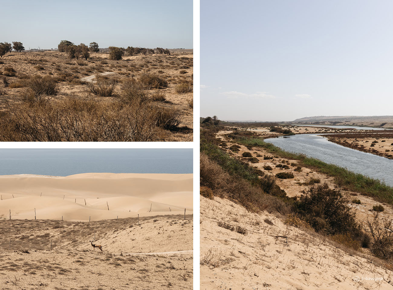 parc national de souss massa