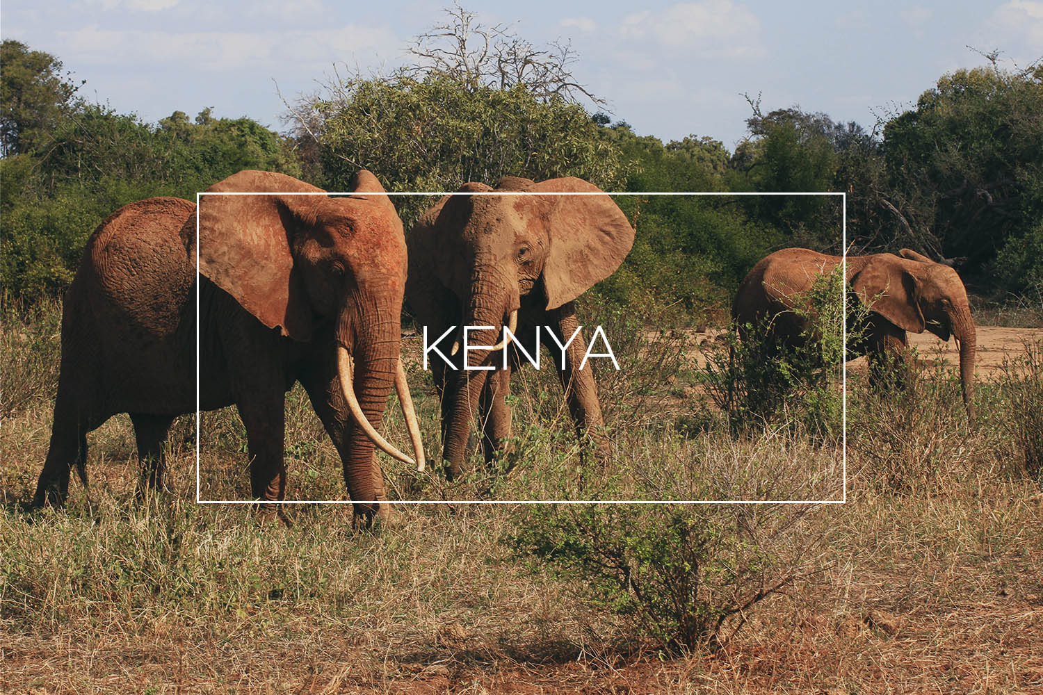 voyage au kenya