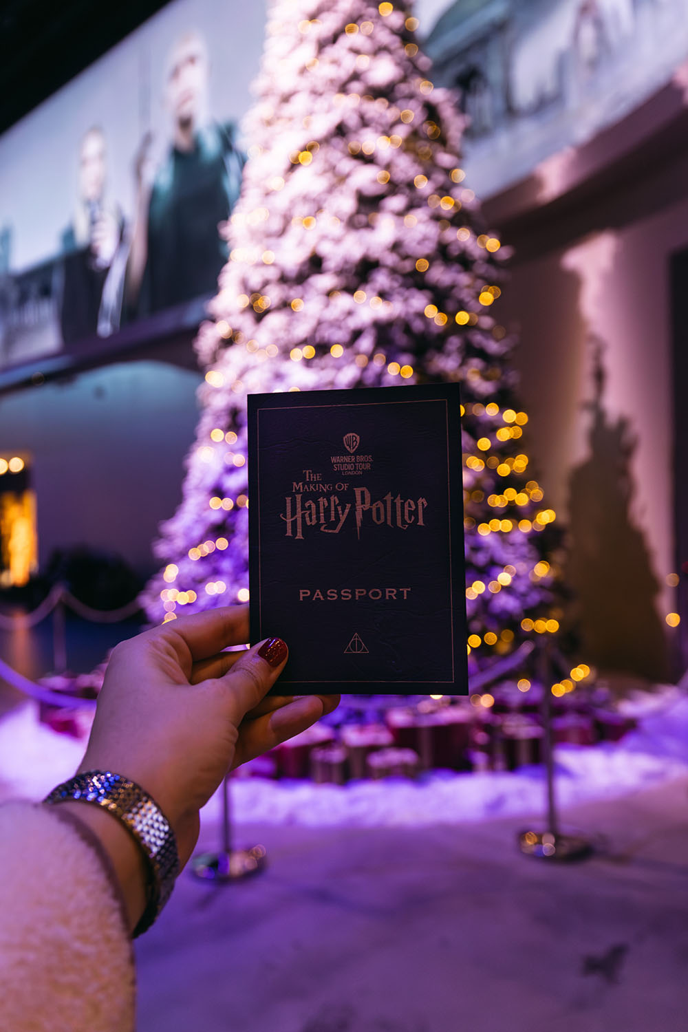 passeport Harry Potter Londres