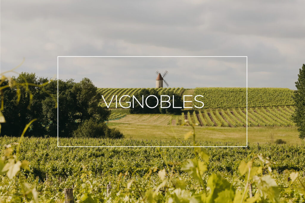 vignobles à visiter en France