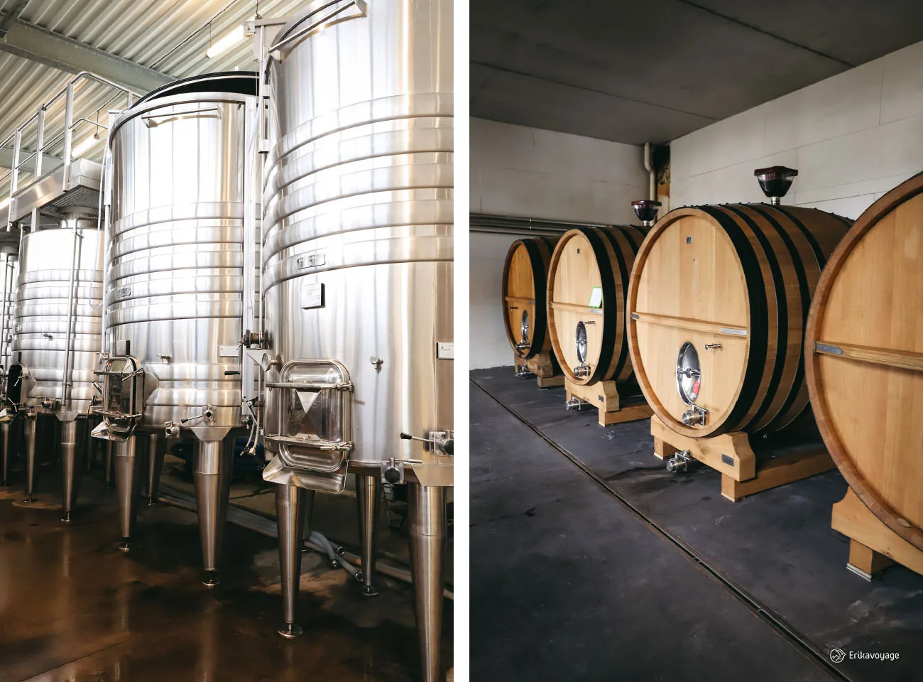visite domaine viticole Rocheville