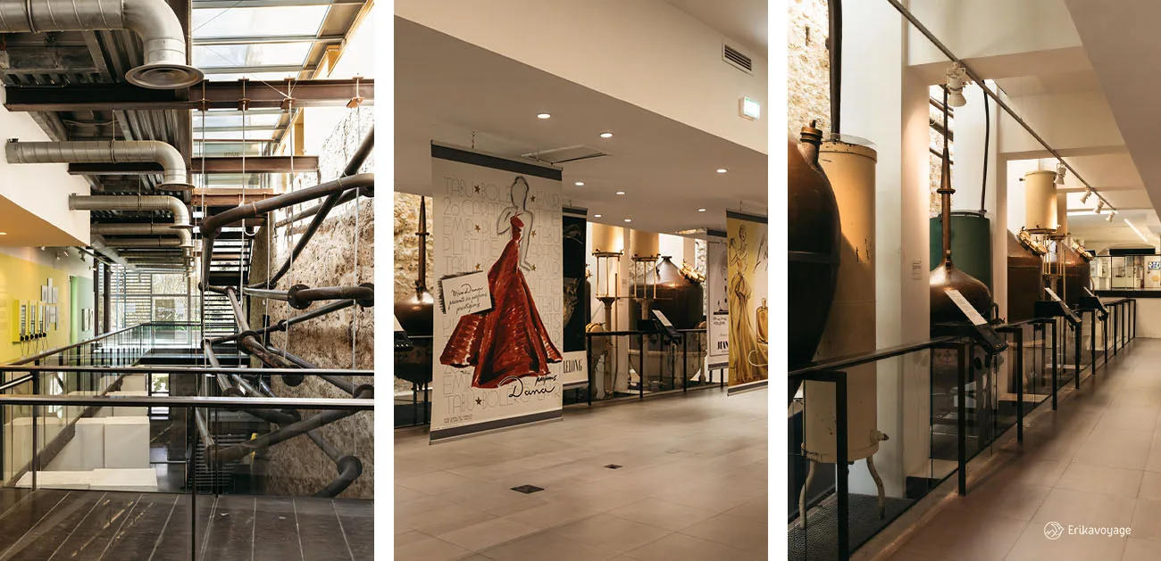 Musée International de la Parfumerie de Grasse (MIP)