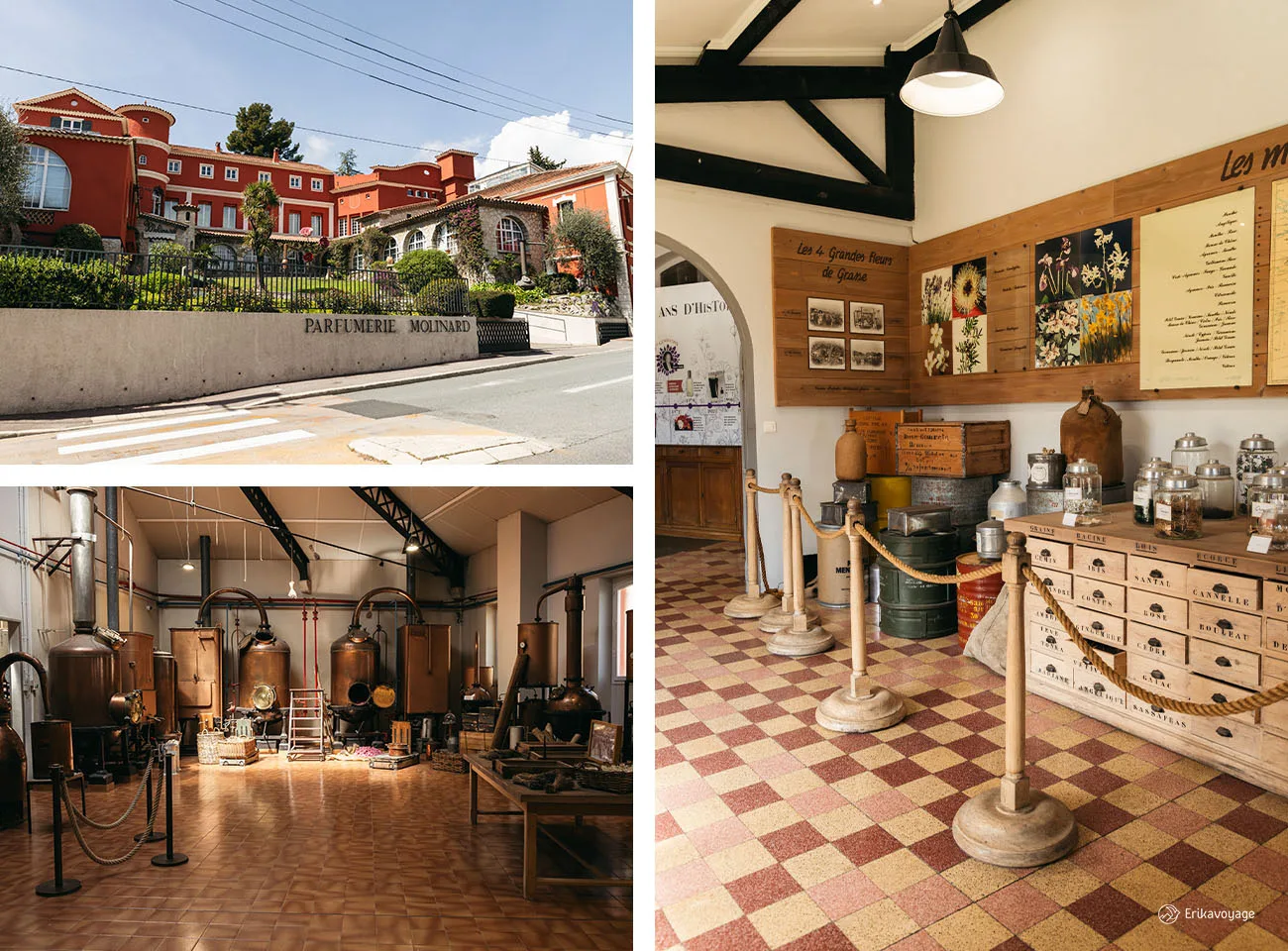 Visite musée parfumerie Molinard Grasse
