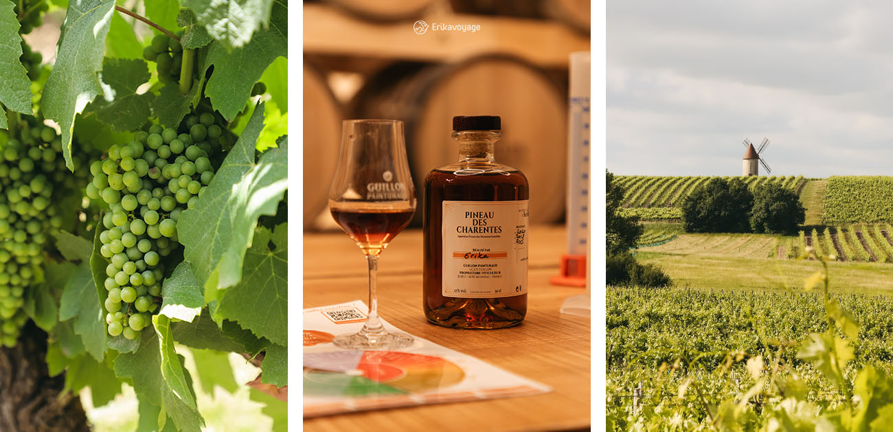 Offrir une expérience au cœur du vignoble
