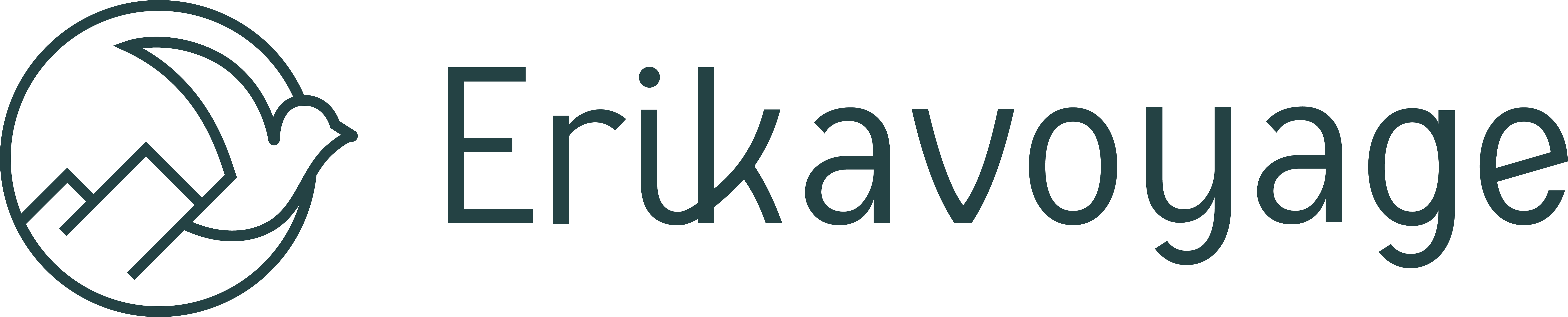 Logo erikavoyage bleu