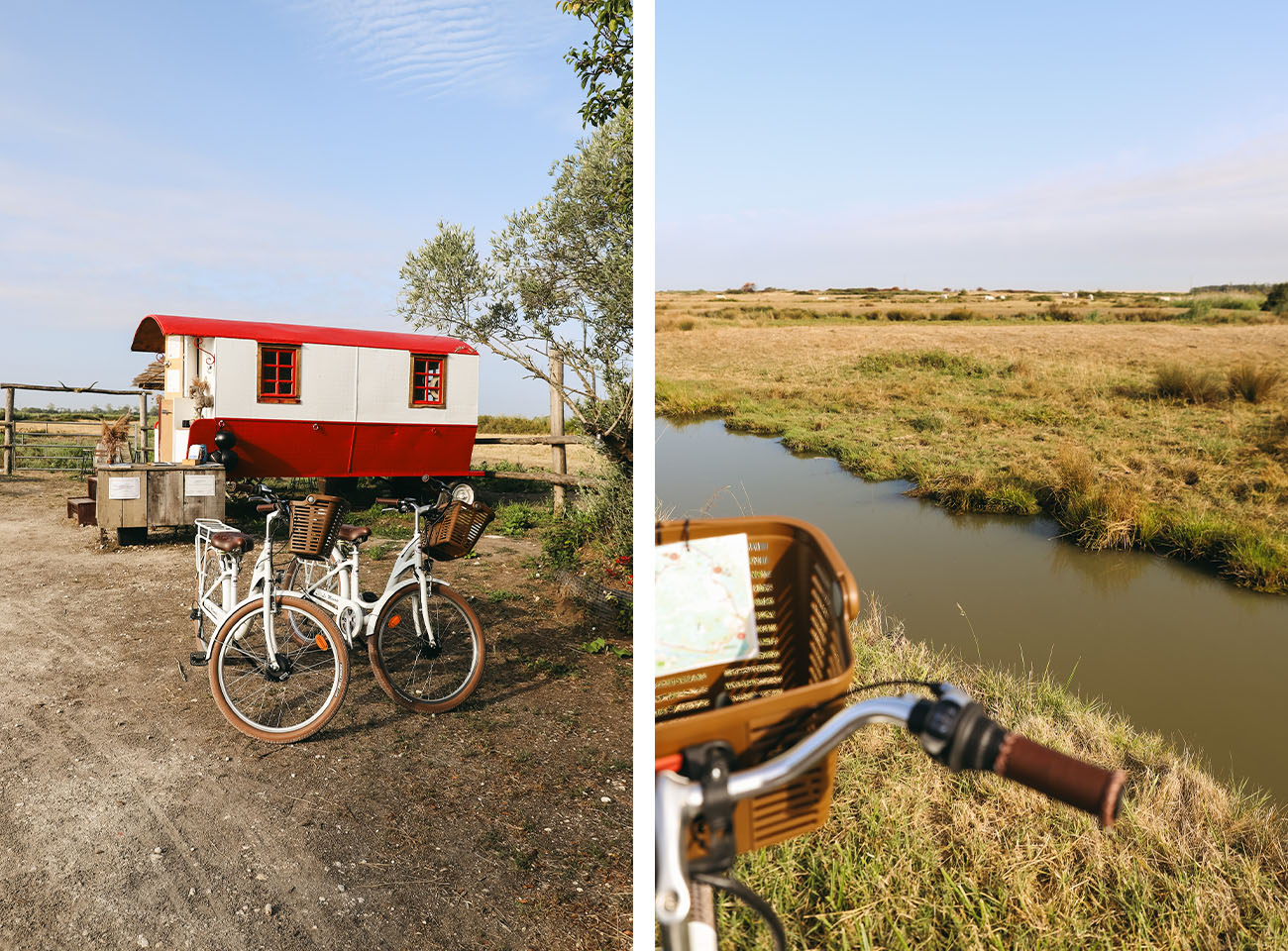 Promenade les vélos de la manade Brouage Charente-Maritime