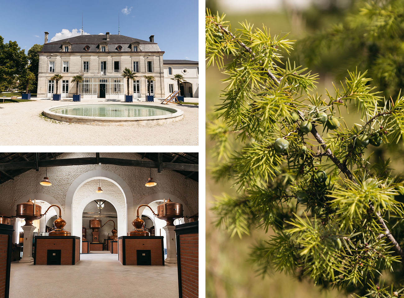 Visite distillerie Citadelle