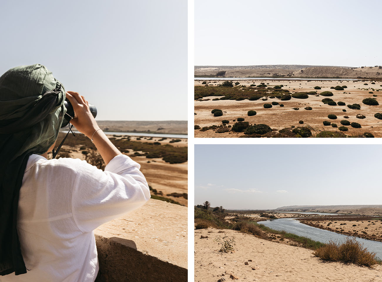 Réserve Massa Parc National Souss Massa