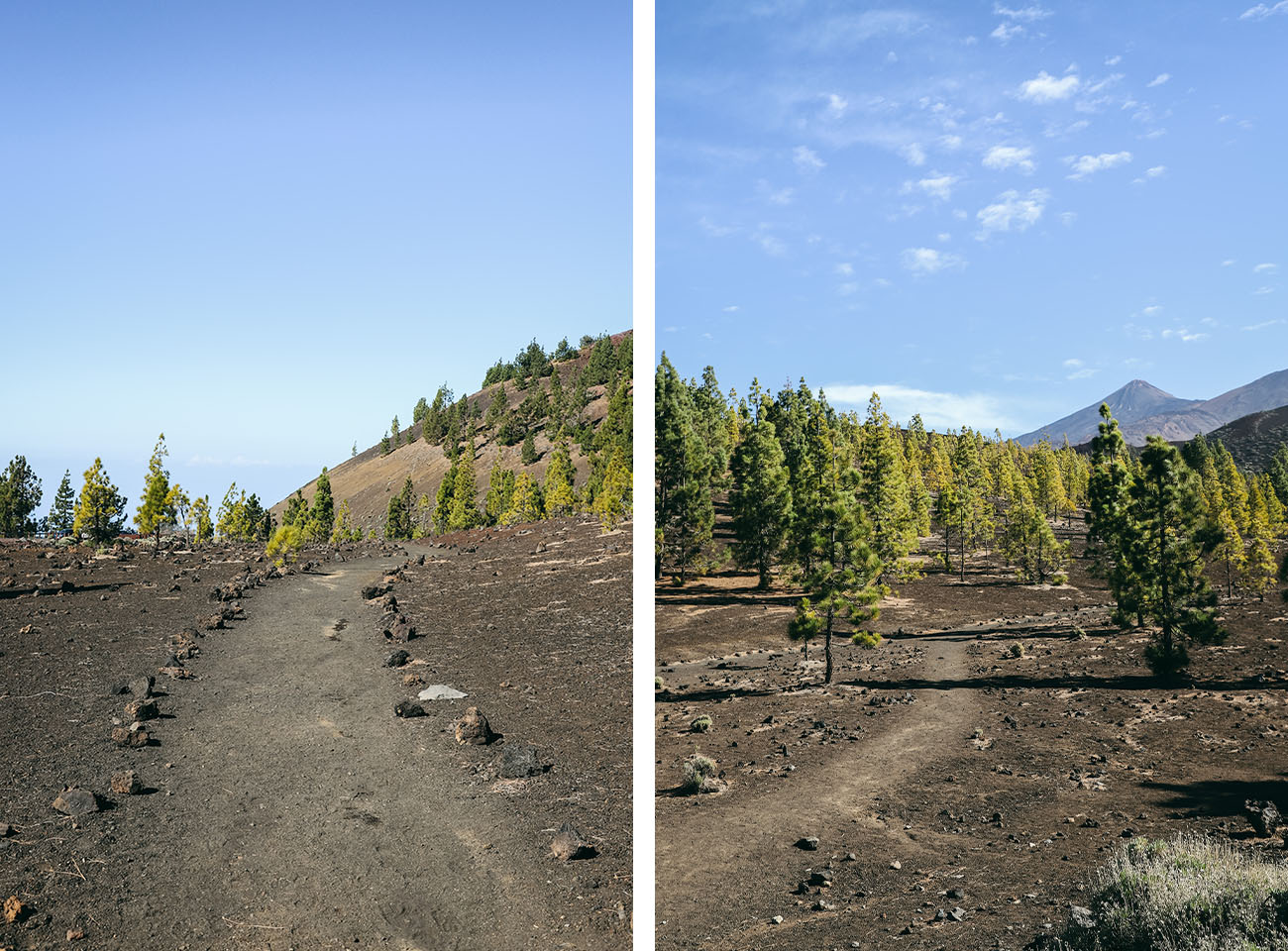 Randonnée de Samara Teide Tenerife