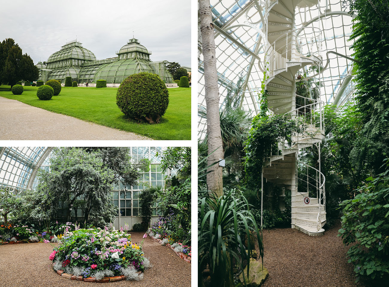 jardin botanique du château de Schönbrunn