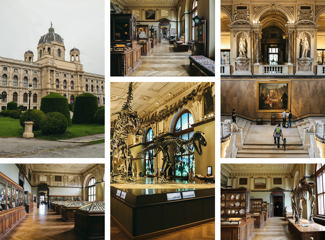 Muséum d'histoire Naturelle Visiter Vienne en deux jours