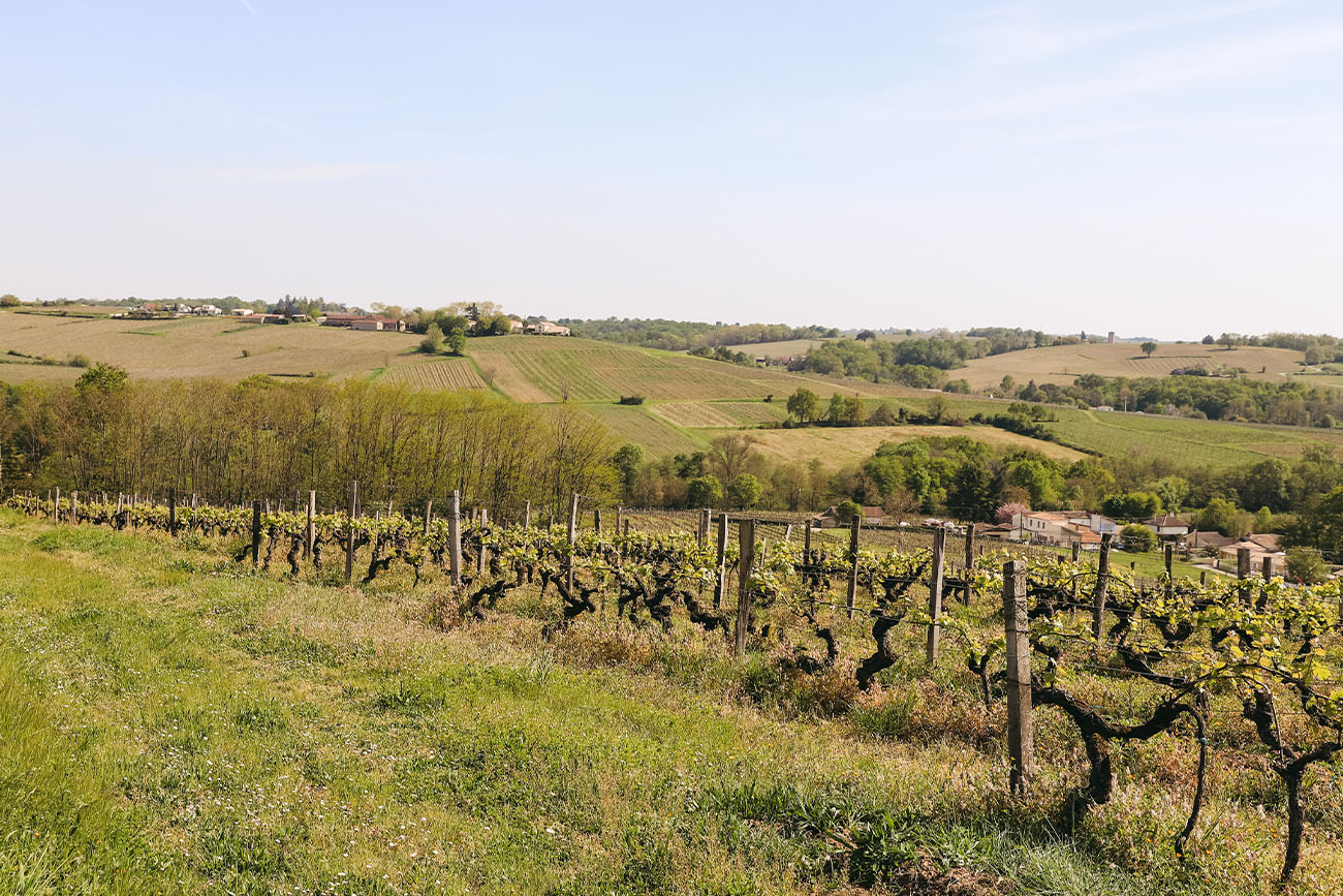 Visiter la Gironde