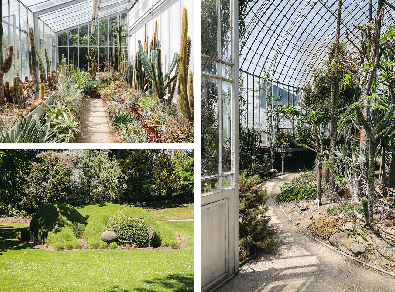 Jardin des plantes Nantes