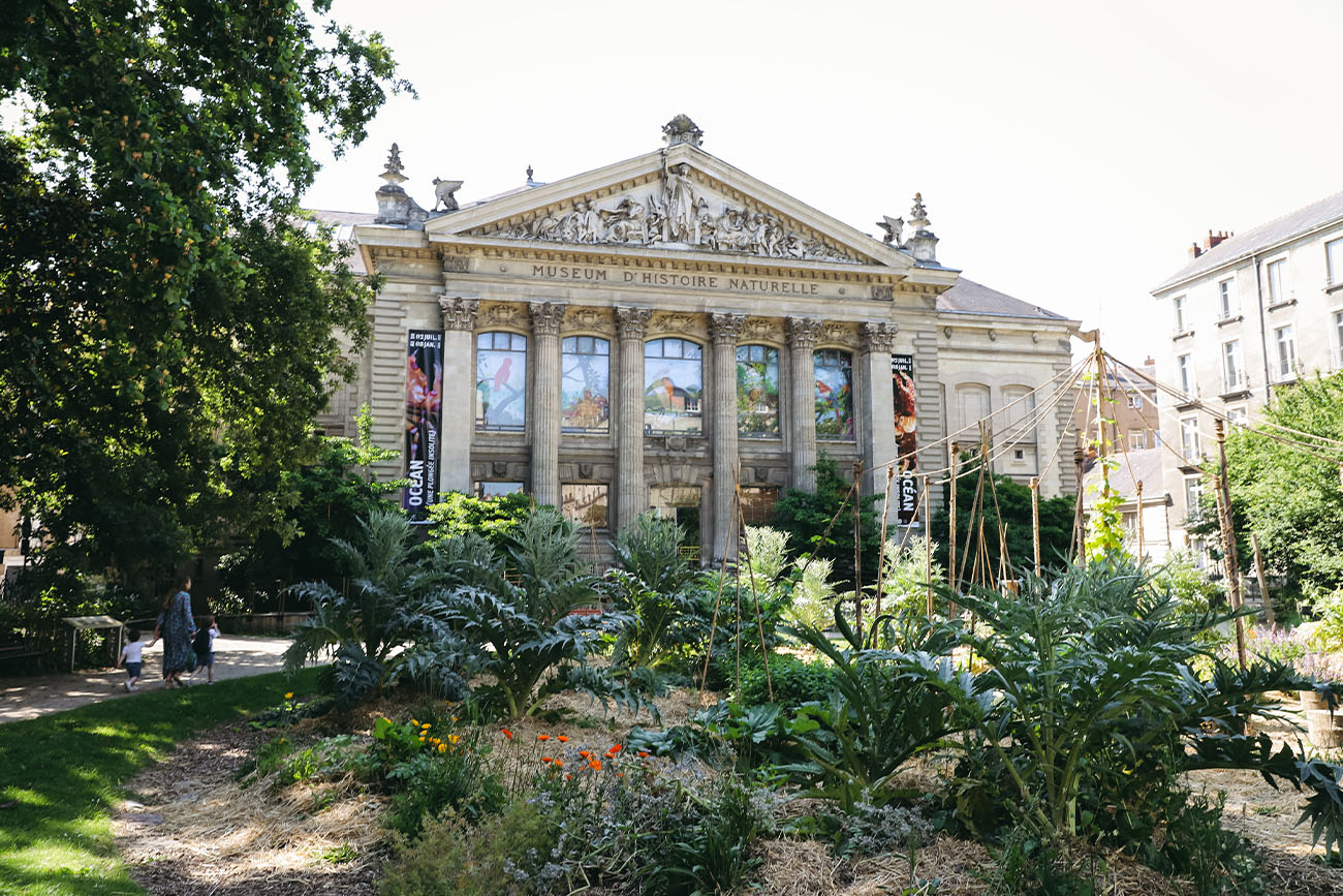 Muséum d'histoire naturelle de Nantes