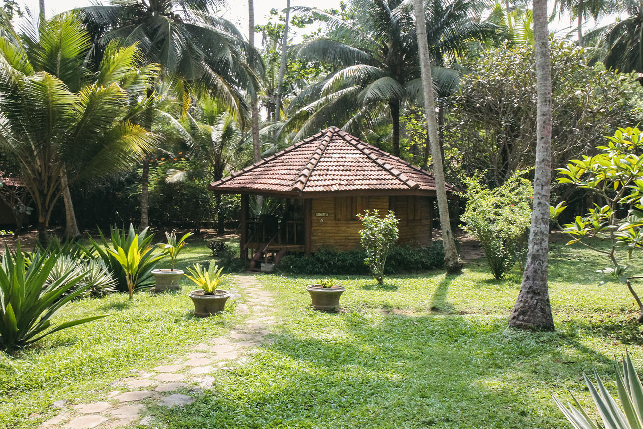 Hôtel Palm paradise cabanas Tangalle