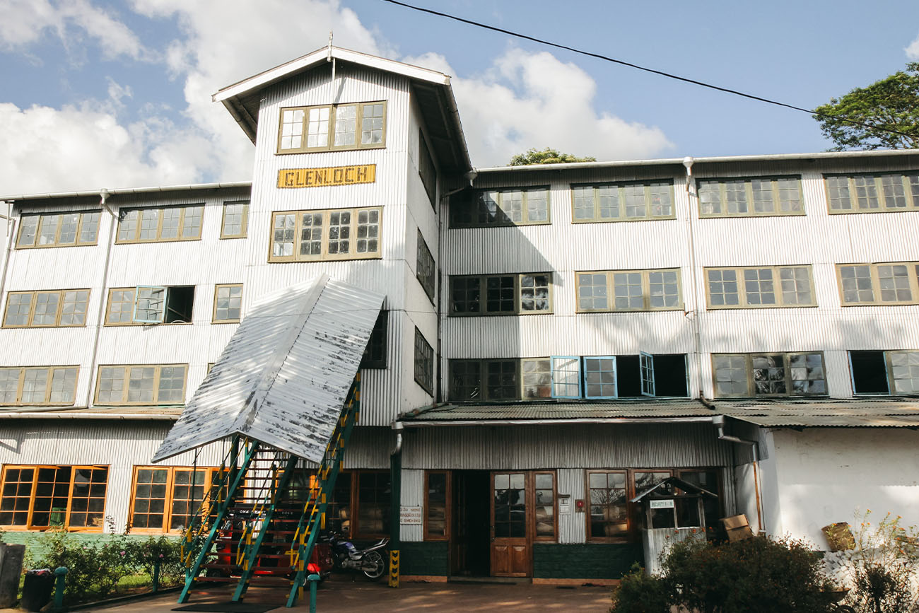 Glenloch tea factory sri lanka